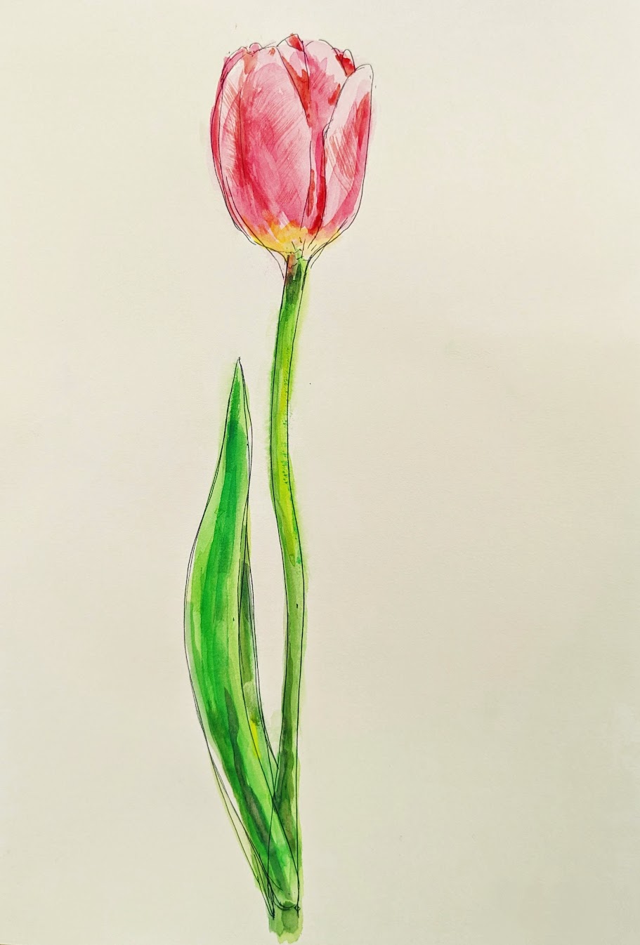 踊るチューリップ 水彩画 小学生クラス3月2回目・見て描く「チューリップ」