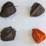 PXL_20251110_051433428~6-1