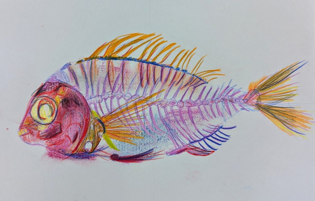 PXL_20251127_134505614-EDIT