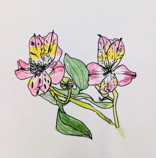 園小混合クラス3月1回目・みてかこう