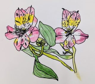 園小混合クラス3月1回目・みてかこう