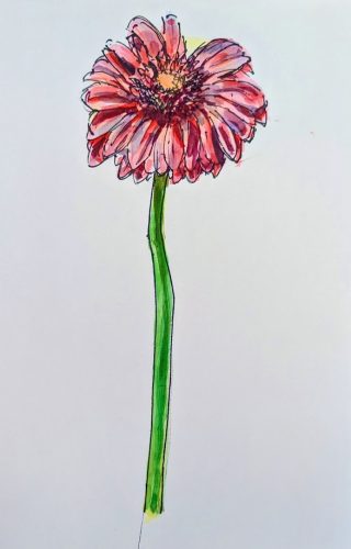 小学生クラス3月2回目・春の花